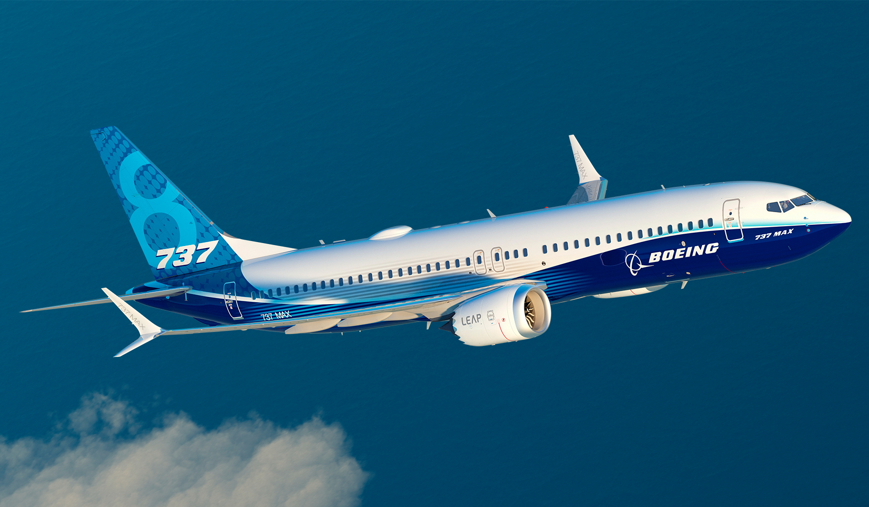 Boeing 737 MAX 8. Click to enlarge.