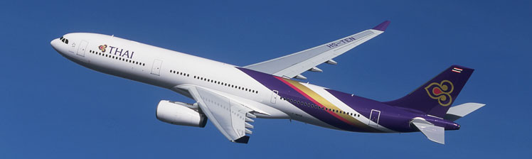 Thai Airways Airbus A330-300. Click to enlarge.